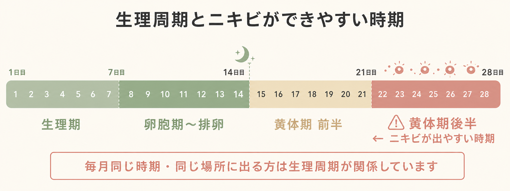 記事07_あごニキビ-原因-繰り返す_画像7-3_生理周期とニキビタイミング.png