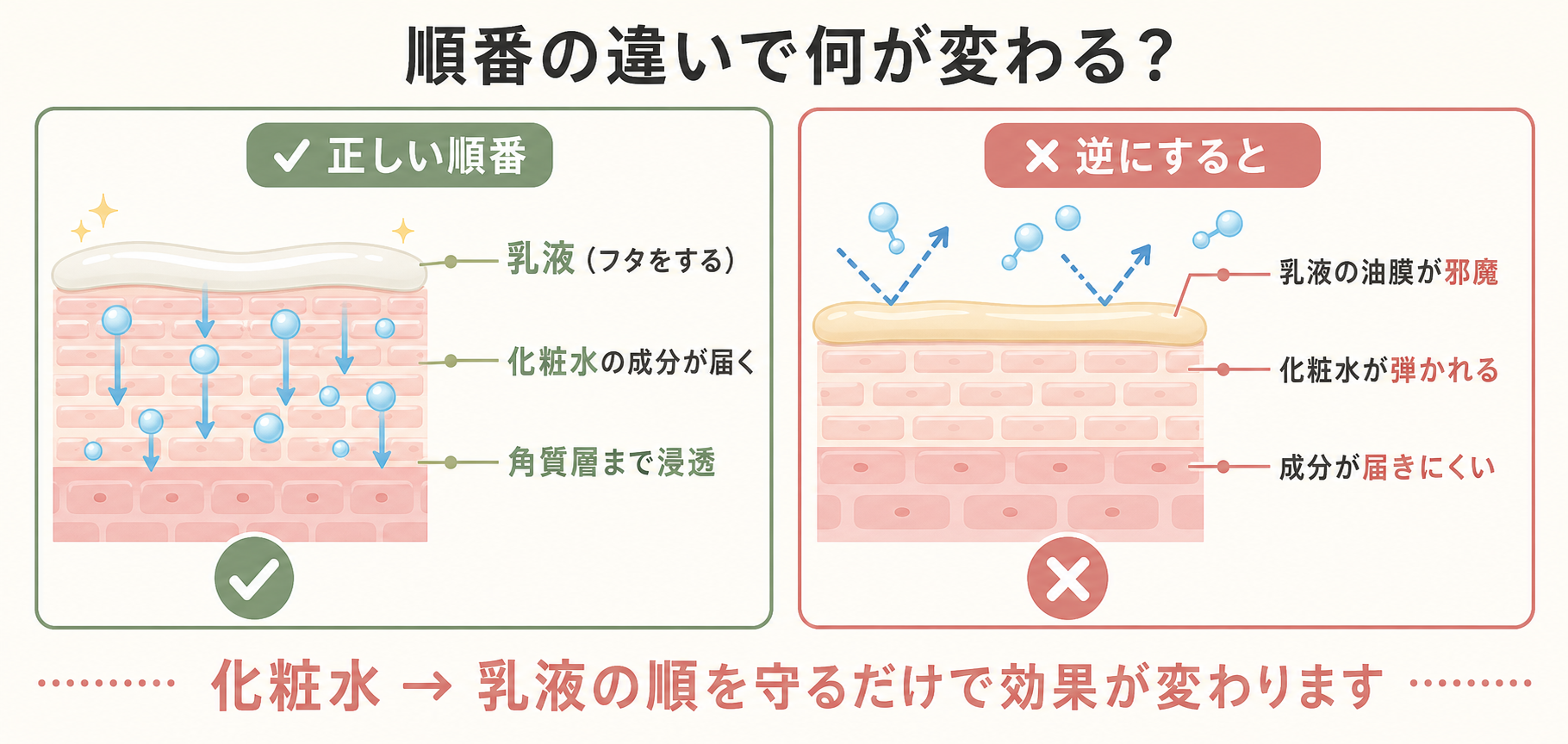 記事09_化粧水-乳液-順番_画像9-2_正解vs逆の比較図.png