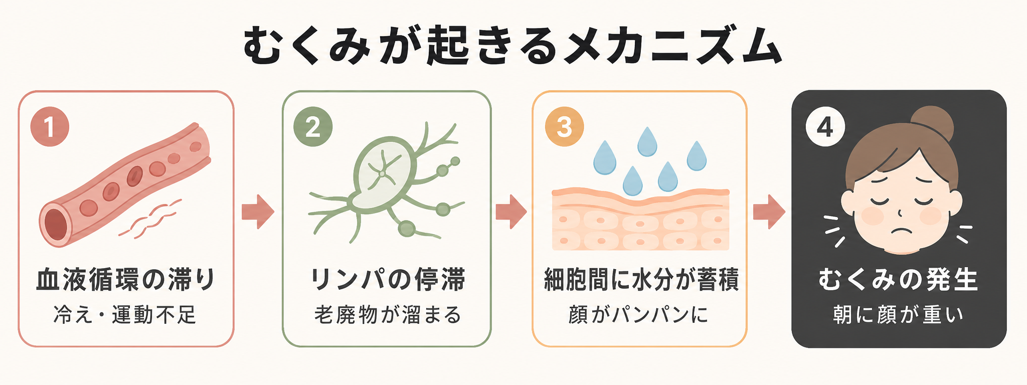 記事19_顔-むくみ-解消-方法_画像19-2_むくみのメカニズムフロー図.png