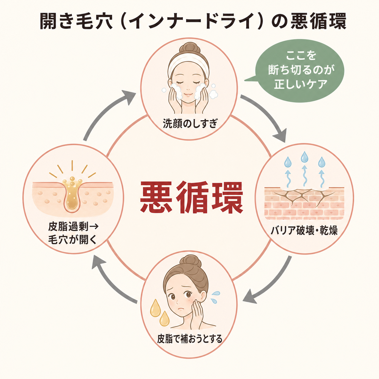 KP01_open_pore_cycle