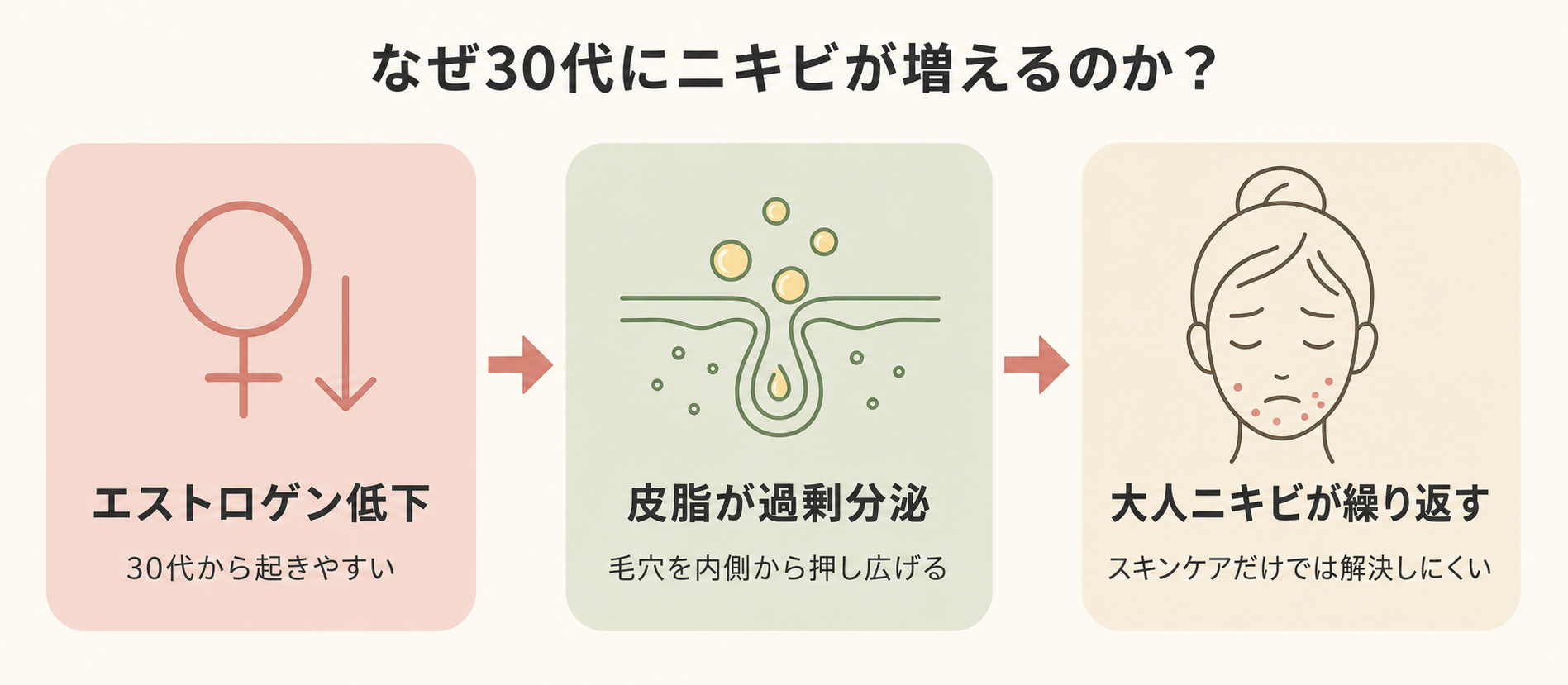 ホルモンと皮脂の関係
